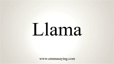 llama pronunciation|how to say llama.